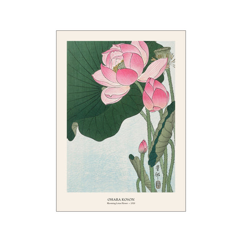 Blooming Lotus Flower - Ohara Koson | Woodblock Print