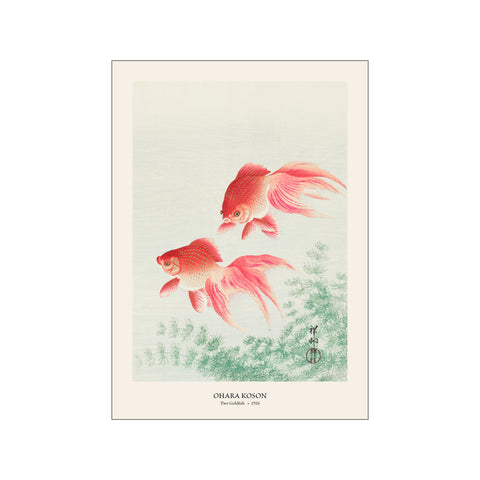 Two Goldfish - Ohara Koson | Woodblock Print