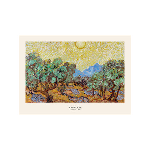 Olive Trees Light - Van Gogh | Fine Art Print