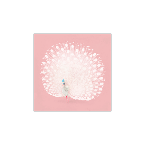 Pink Peacock - Ohara Koson | Woodblock Print