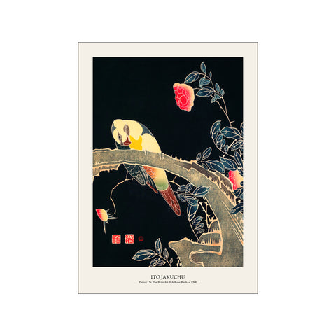 Parrot On The Branch Of A Rose Bush 1900 - Ito Jakuchu | Woodblock Print