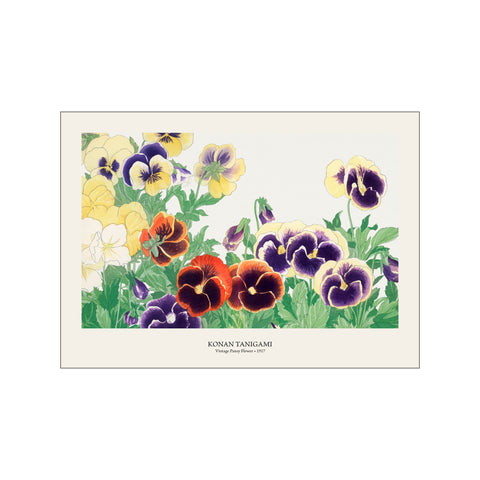 Vintage Pansy Flower - Konan Tanigami | Japanese Botanical Print