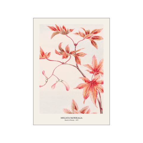 Branch of Momiji - Megata Morikaga | Woodblock Print