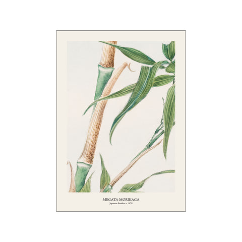 Japanese Bamboo - Megata Morikaga | Woodblock Print