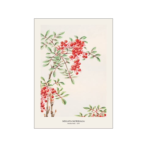Nandina Bush - Megata Morikaga | Woodblock Print