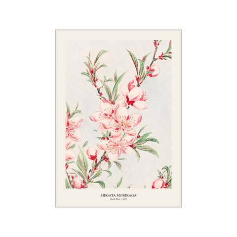 Peach Tree - Megata Morikaga | Woodblock Print
