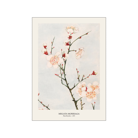 Plum Branches - Megata Morikaga | Woodblock Print