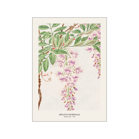 Wisteria Vine - Megata Morikaga | Woodblock Print
