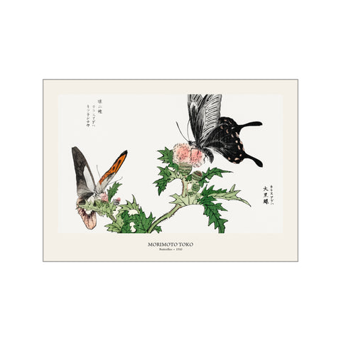 Butterflies 1910 - Morimoto Toko | Japanese Botanical Print