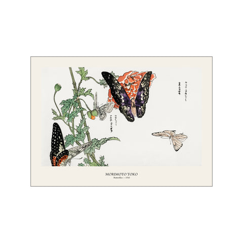 Butterflies & Wildflower - Morimoto Toko | Japanese Botanical Print