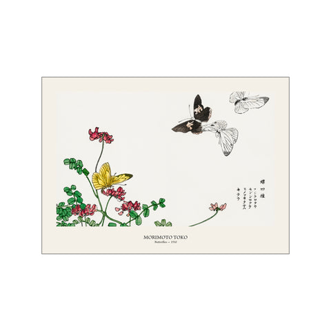Butterflies & Flower - Morimoto Toko | Japanese Botanical Print