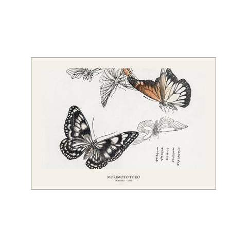 Japanese Butterflies - Morimoto Toko | Japanese Botanical Print