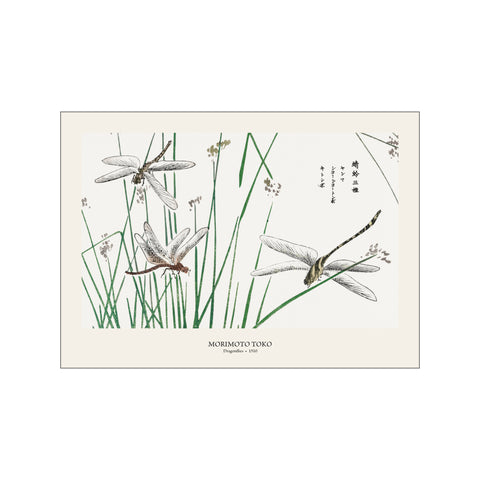 Dragonflies - Morimoto Toko | Japanese Botanical Print