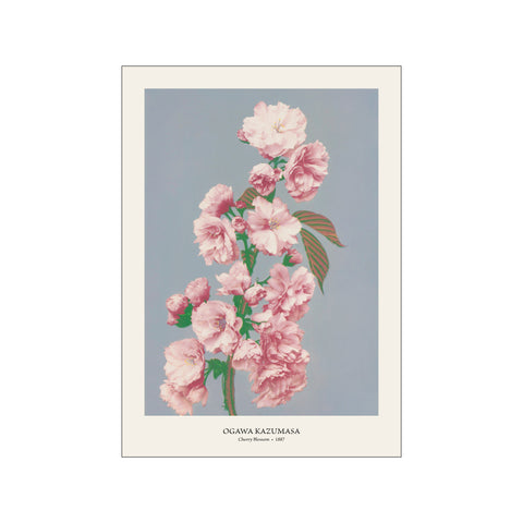 Cherry Blossom - Ogawa Kazumasa | Fine Art Print