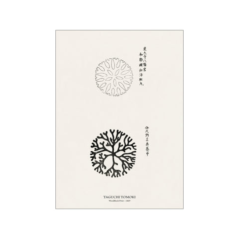 Woodblock Print Coral - Taguchi Tomoki | Japandi Style